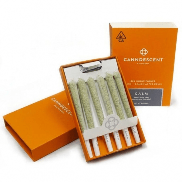 Canndescent Create 310 .5g Pre-roll 6 Pack