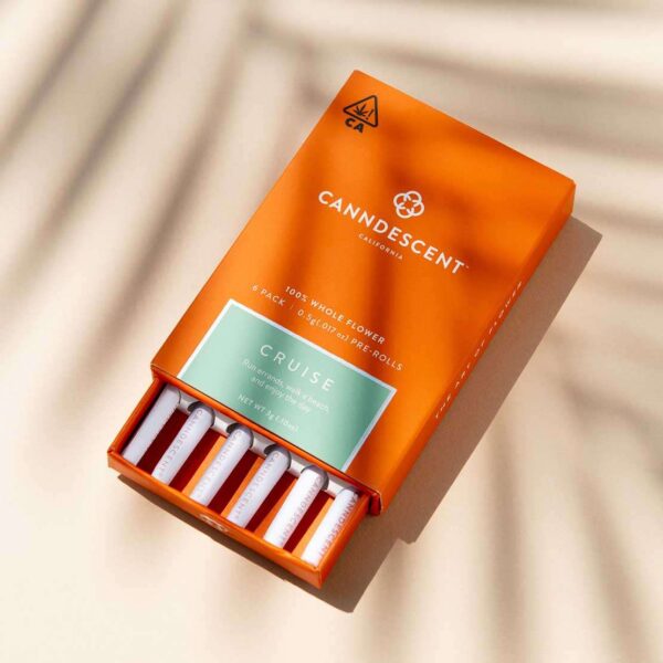Canndescent Create 310 .5g Pre-roll 6 Pack