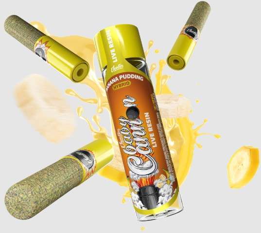 Banana Pudding hybrid | gsc x banana og