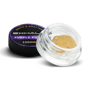 SHATTER – PURPLE PUNCH