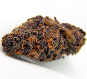 Purple Kush