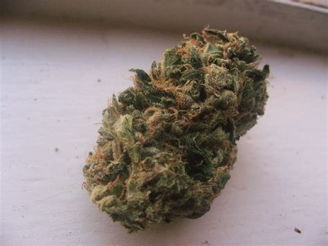 Sour-Diesel-strain.jpg Sour Diesel strain