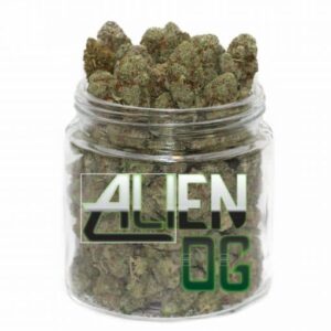 alienog-jar-1-510x510-1.jpg Alien OG